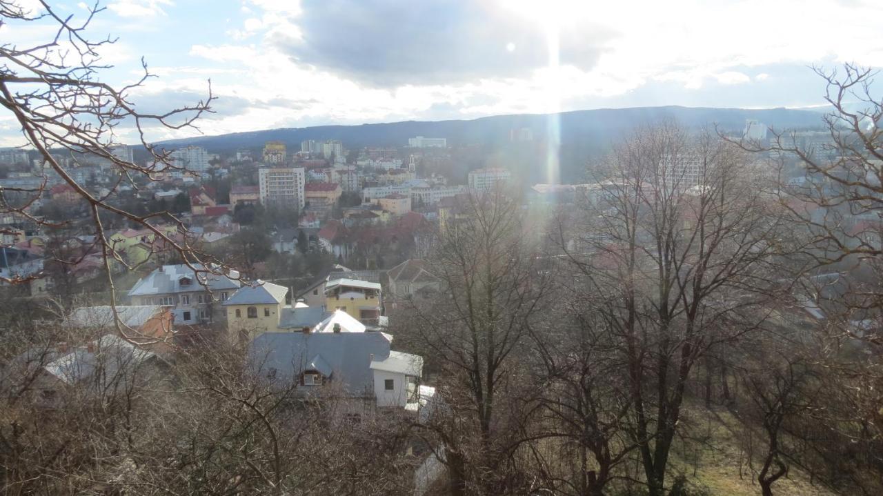 Apartments And Sauna Truskavec' Esterno foto